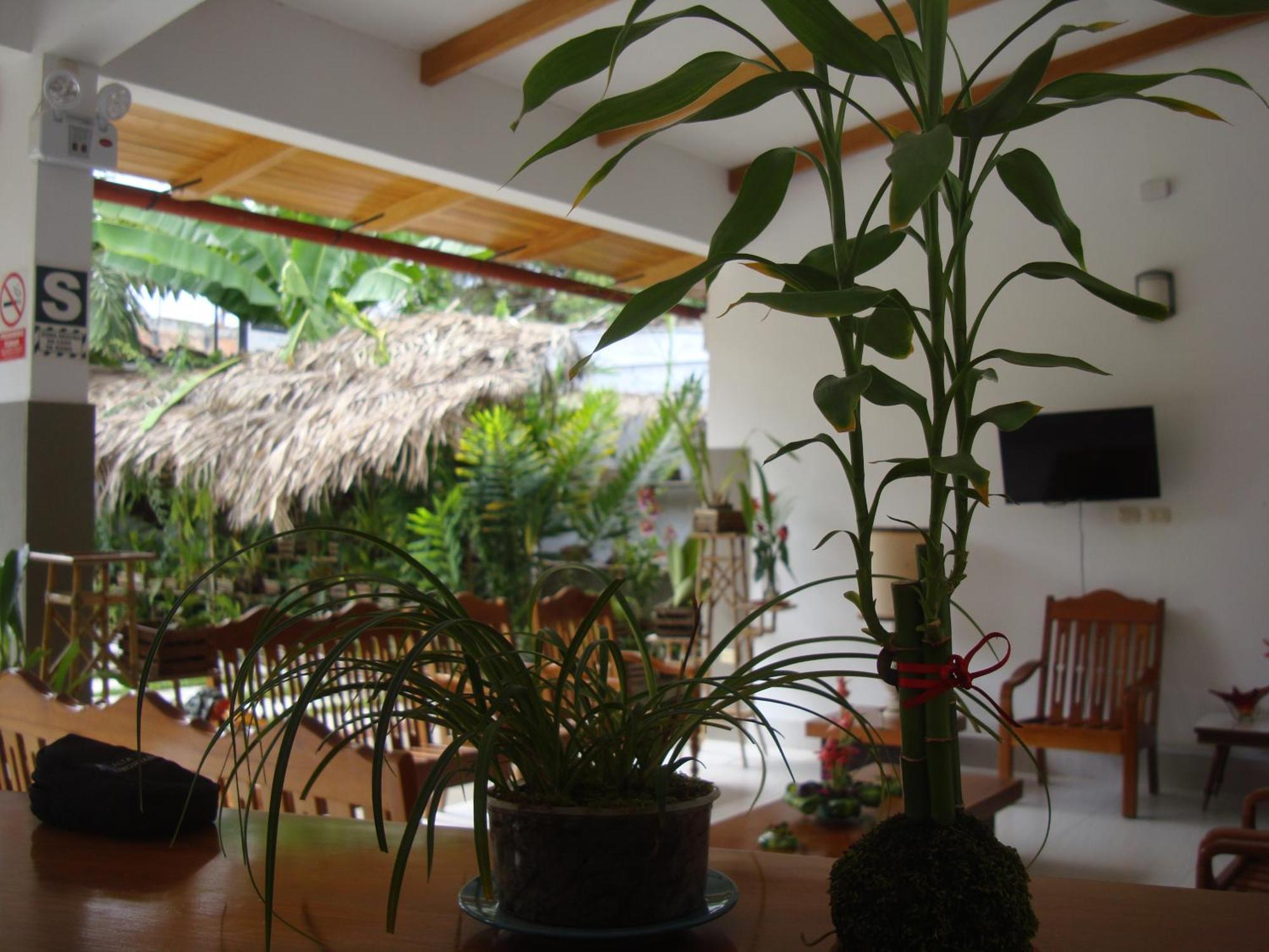 Altavista Casahotel - Asociado Casa Andina 3* Moyobamba